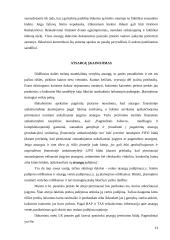 Atsargų apskaitos metodas 13 puslapis