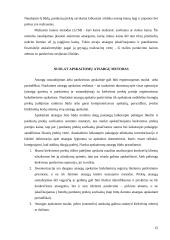 Atsargų apskaitos metodas 15 puslapis