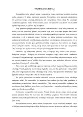 Atsargų apskaitos metodas 5 puslapis