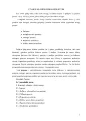 Atsargų apskaitos metodas 7 puslapis