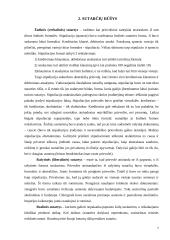 Romėnų sutartys 6 puslapis