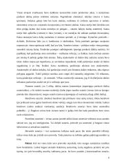 Romėnų sutartys 8 puslapis