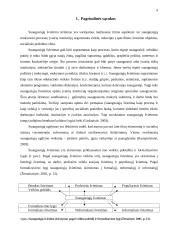 Sąlygos suaugusiesiems įgyti formalųjį ir neformalųjį išsilavinimą pagal jų poreikius, 1990 – 2005 metų apžvalga 4 puslapis