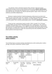 Sąskaitų planas 2 puslapis