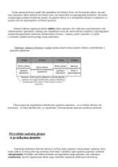 Sąskaitų planas 4 puslapis