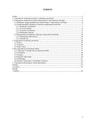 Atsiskaitymai, taikomi tarptautiniuose prekybos sandoriuose 2 puslapis