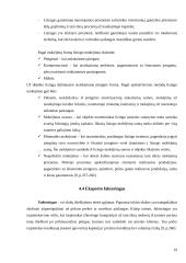 Atsiskaitymai, taikomi tarptautiniuose prekybos sandoriuose 19 puslapis