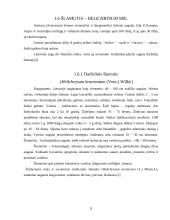 Sausažiedės gėlės ir jų panaudojimo galimybės 11 puslapis