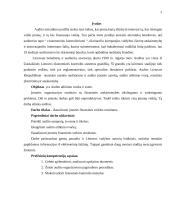 Audito atlikimas įmonėje ir jo rezultatai 2 puslapis