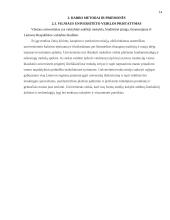 Audito atlikimas įmonėje ir jo rezultatai 14 puslapis