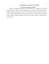 Audito atlikimas įmonėje ir jo rezultatai 15 puslapis