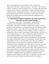 Audito atlikimas įmonėje ir jo rezultatai 17 puslapis