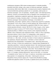 Audito atlikimas įmonėje ir jo rezultatai 19 puslapis