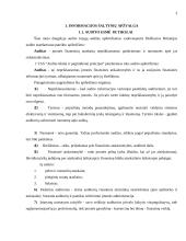 Audito atlikimas įmonėje ir jo rezultatai 3 puslapis