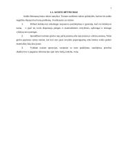 Audito atlikimas įmonėje ir jo rezultatai 7 puslapis