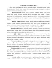 Audito atlikimas įmonėje ir jo rezultatai 9 puslapis