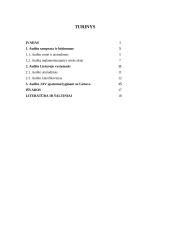 Audito Jungtinėse Amerikos Valstijose (JAV)  ypatumai lyginant su Lietuva