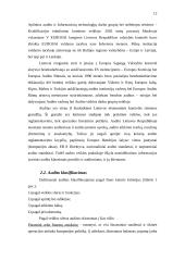 Audito Jungtinėse Amerikos Valstijose (JAV)  ypatumai lyginant su Lietuva 11 puslapis