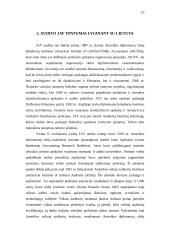 Audito Jungtinėse Amerikos Valstijose (JAV)  ypatumai lyginant su Lietuva 14 puslapis