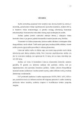 Audito Jungtinėse Amerikos Valstijose (JAV)  ypatumai lyginant su Lietuva 16 puslapis