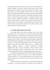 Audito Jungtinėse Amerikos Valstijose (JAV)  ypatumai lyginant su Lietuva 6 puslapis