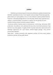 Savanoriška prostitucija 3 puslapis