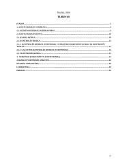 Audito rizikos 2 puslapis