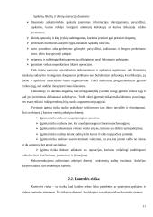 Audito rizikos 11 puslapis