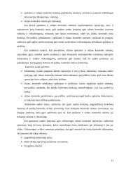 Audito rizikos 13 puslapis