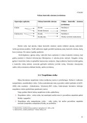 Audito rizikos 15 puslapis