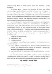 Audito rizikos 18 puslapis