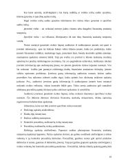 Audito rizikos 19 puslapis