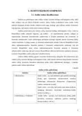 Audito rizikos 4 puslapis