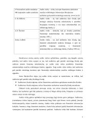 Audito rizikos 5 puslapis