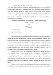 Audito rizikos 7 puslapis