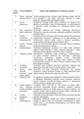 Audito rizikos 9 puslapis