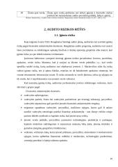 Audito rizikos 10 puslapis