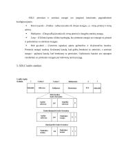 SDLC protokolas 3 puslapis