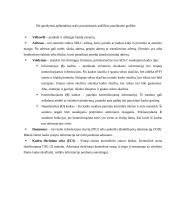 SDLC protokolas 4 puslapis