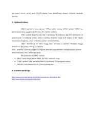 SDLC protokolas 8 puslapis