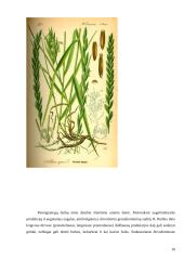 Sėjomaina ūkyje: Klaipėdos rajonas 10 puslapis