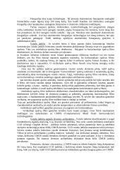 Skaitmeninė fotografija