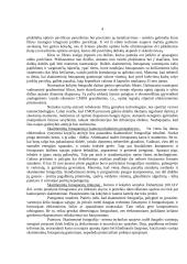 Skaitmeninė fotografija 4 puslapis