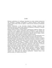 Skaitmeninės reklamos formos 2 puslapis