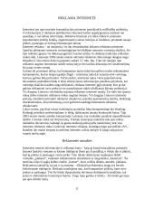 Skaitmeninės reklamos formos 11 puslapis