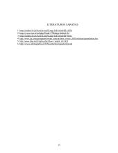 Skaitmeninės reklamos formos 15 puslapis