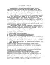 Skaitmeninės reklamos formos 7 puslapis