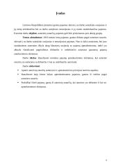 Autorinės sutartys. Su darbo santykiais nesusijusių pajamų apmokestinimas 4 puslapis