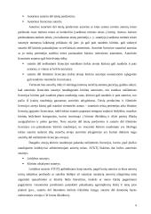 Autorinės sutartys. Su darbo santykiais nesusijusių pajamų apmokestinimas 6 puslapis