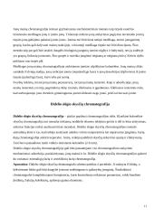 Skystinis chromatografas su masių spektrometru 11 puslapis